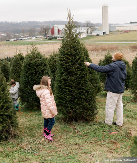 Valley View Christmas Tree Farm - searching for a tree