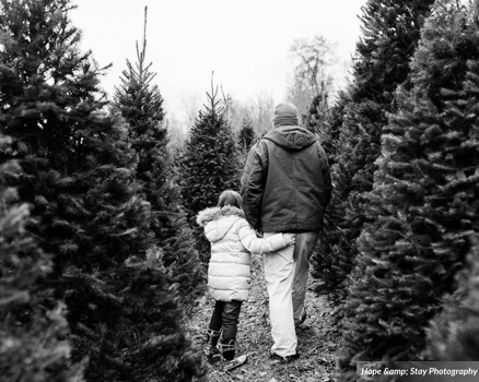 Valley View Christmas Tree Farm - searching for a tree
